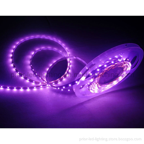 Violet LED Strip